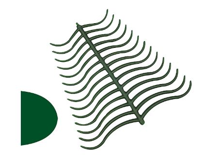 WAX CLASP PROFILE MOLAR & PREMOLAR /PACK