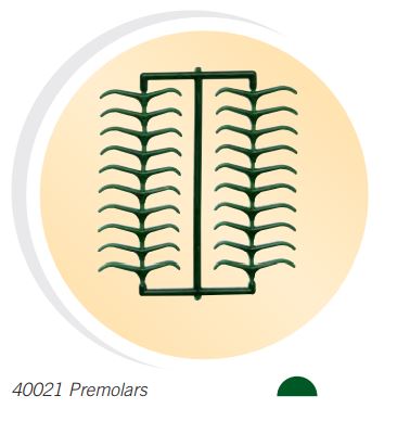WAX PATTERNS PREMOLAR CLASPS /200