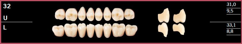32L-BL3 DELARA TEETH LOWER POSTERIOR