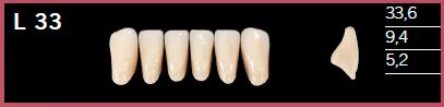 L33-BL3 DELARA TEETH LOWER ANTERIOR