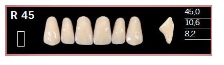 R45-BL2 DELARA TEETH UPPER ANTERIOR