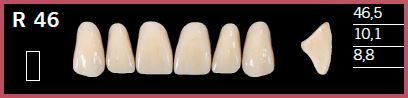 R46-B2 DELARA TEETH UPPER ANTERIOR