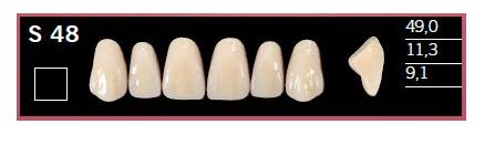 S48-BL2 DELARA TEETH UPPER ANTERIOR