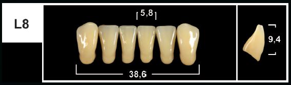 L8 B2 LOWER ANTERIOR TRIBOS TEETH