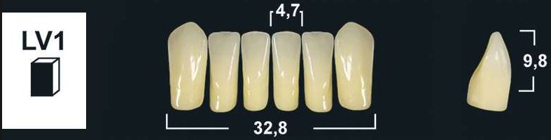 LV1 C2 LOWER ANTERIOR TRIBOS TEETH