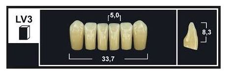 LV3 BL3 LOWER ANTERIOR TRIBOS TEETH