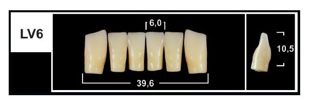 LV6 BL3 LOWER ANTERIOR TRIBOS TEETH