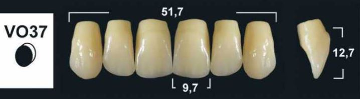 VO37 C2 UPPER ANTERIOR TRIBOS TEETH