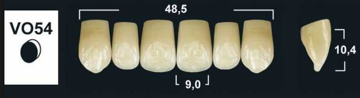 VO54 B1 UPPER ANTERIOR TRIBOS TEETH