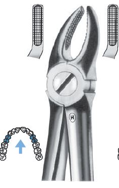 EXTRACTION FORCEPS UPPER PREMOLAR FIG 7