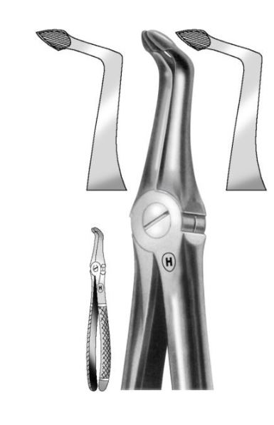 EXTRACTION FORCEPS LOWER ROOT 49