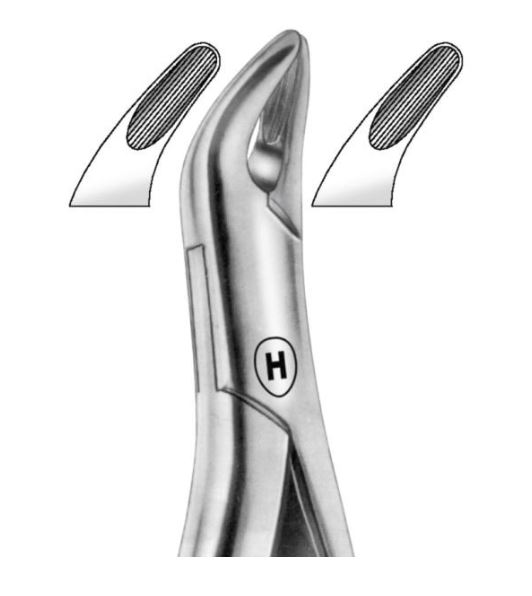 EXTRACTION FORCEPS AMERICAN 62 UPPER
