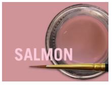 MIYO GINGIVAL SALMON PASTE 4G