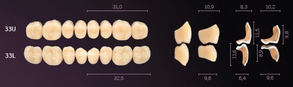 33-A3 IDEALIS TEETH UPPER POSTERIOR