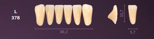 L378-A4 MONDIAL TEETH LOWER ANTERIOR