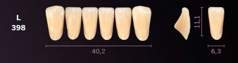 L398-B4 MONDIAL TEETH LOWER ANTERIOR