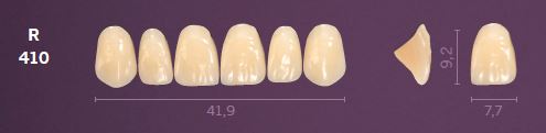 R410-D4 MONDIAL TEETH UPPER ANTERIOR
