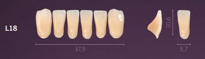 L18-A3 PREMIUM TEETH LOWER ANTERIOR