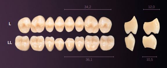 LL-A4L PREMIUM TEETH LOWER POSTERIOR