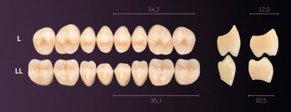 LL-D2L PREMIUM TEETH LOWER POSTERIOR