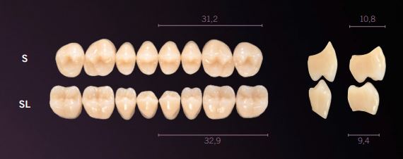 S-B4U PREMIUM TEETH UPPER POSTERIOR