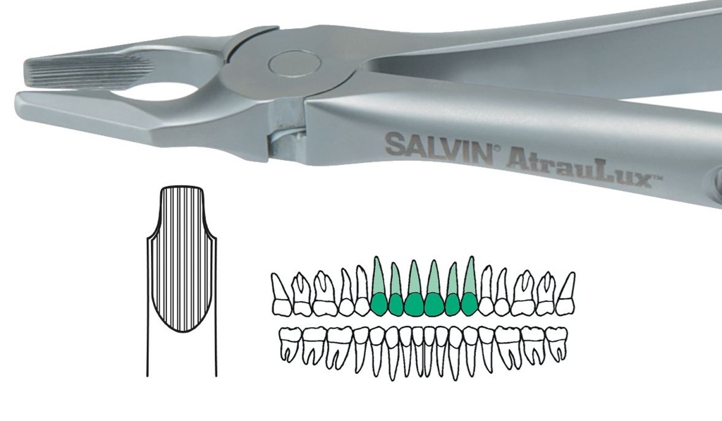 ATRAULUX UPPER ANT FORCEP 1