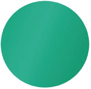 M/GUARD RD 4MM PEARL GREEN DESIGN 120MM