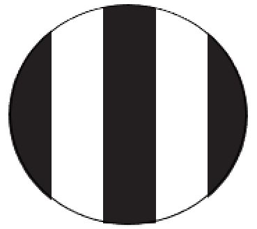 M/GUARD RD 4MM BLACK/WHITE MULTI 120MM