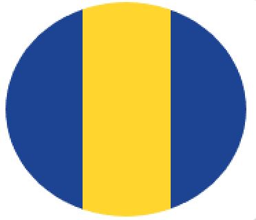 M/GUARD RD 4MM DKBLUE/YEL 3 STRIPE 120MM