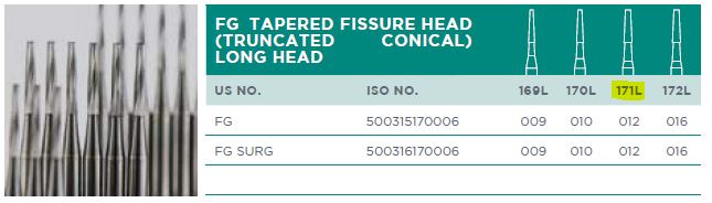 CARBIDE BUR 171L FG 012/5