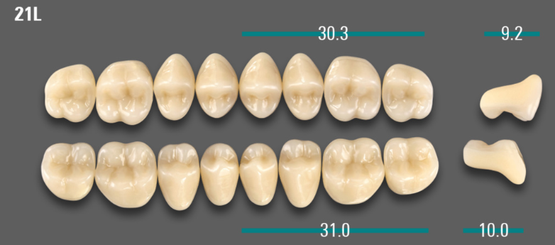 VITA VIONIC VIGO Posterior, 0M1, 21L UK