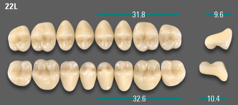 VITA VIONIC VIGO Posterior, 0M1, 22L UK