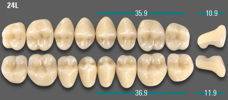 VITA VIONIC VIGO Posterior, 0M1, 24L OK