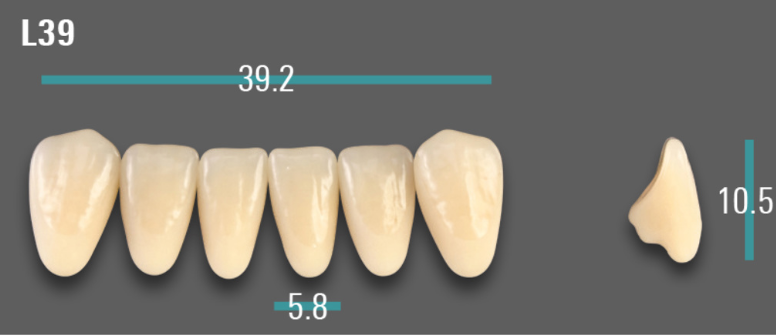 VITA VIONIC VIGO Anterior, 0M1, L39