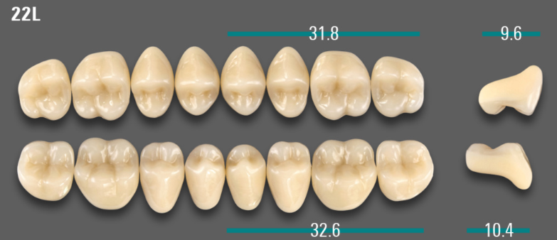 VITA VIONIC VIGO Posterior, A1, 22L UK