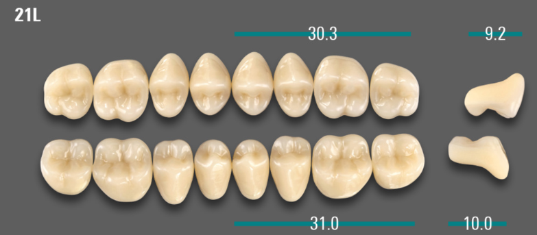 VITA VIONIC VIGO Posterior, A2, 21L OK