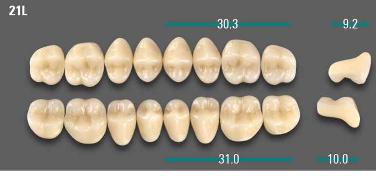 VITA VIONIC VIGO Posterior, A2, 21L UK
