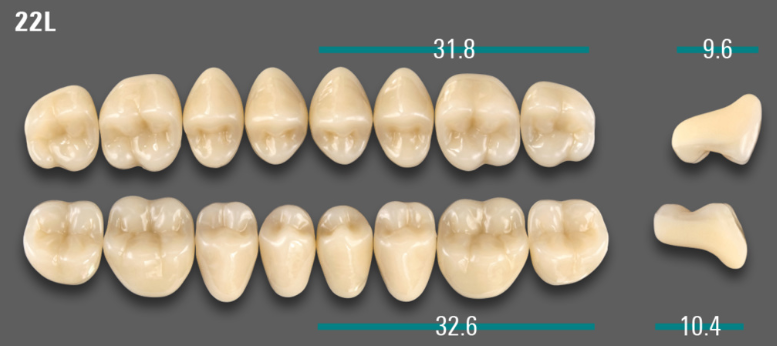 VITA VIONIC VIGO Posterior, A2, 22L UK