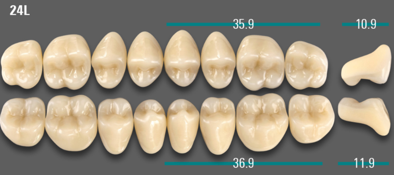 VITA VIONIC VIGO Posterior, A2, 24L UK