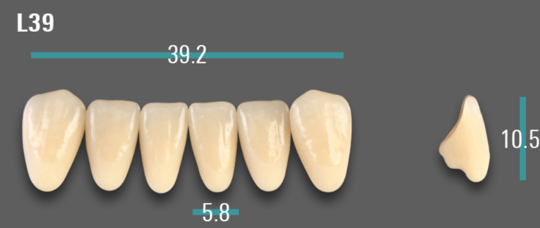 VITA VIONIC VIGO Anterior, A3, L39