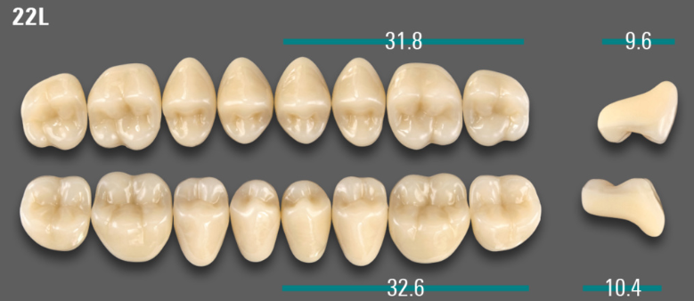 VITA VIONIC VIGO Posterior, B3, 22L UK