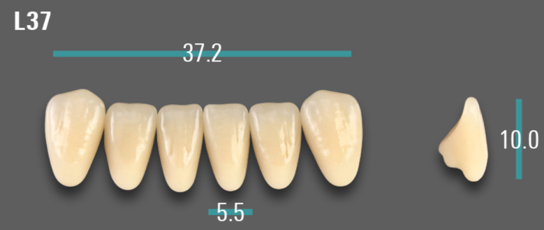 VITA VIONIC VIGO Anterior, B3, L37