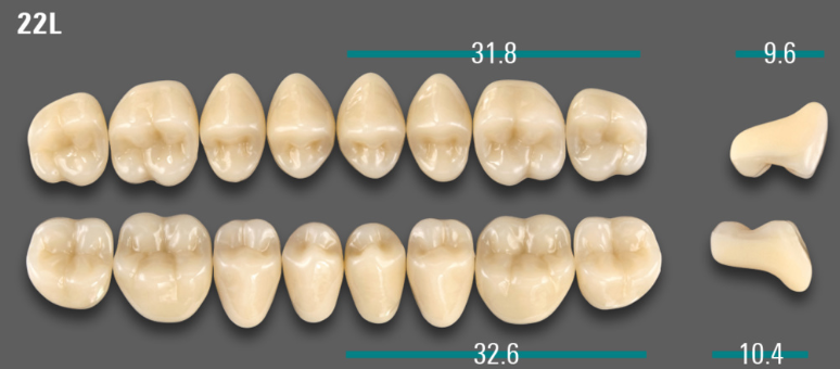 VITA VIONIC VIGO Posterior, D3, 22L OK