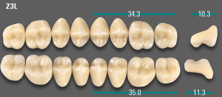 VITA VIONIC VIGO Posterior, D3, 23L OK
