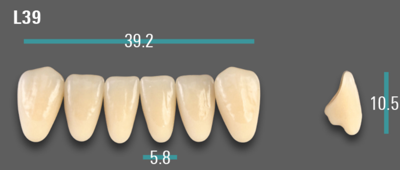 VITA VIONIC VIGO Anterior, D3, L39