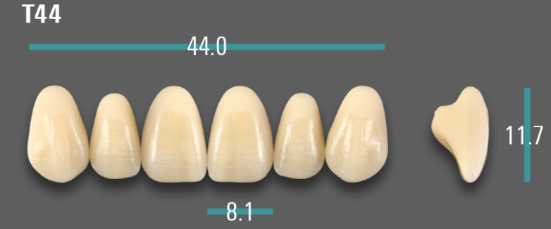 VITA VIONIC VIGO Anterior, D3, T44