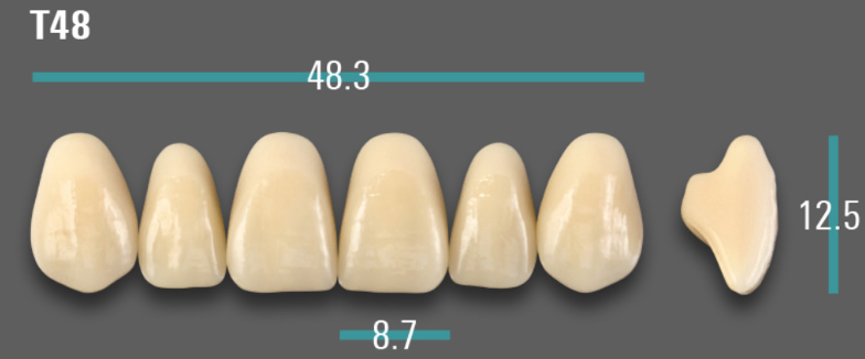 VITA VIONIC VIGO Anterior, D3, T48