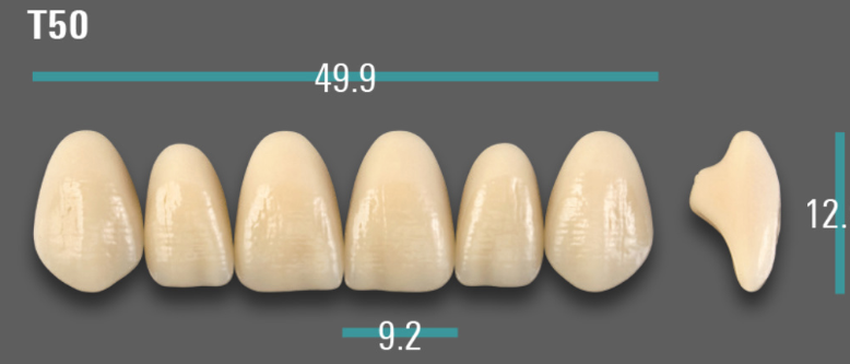 VITA VIONIC VIGO Anterior, D3, T50
