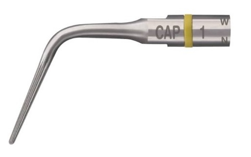 [ACF88181] ENDO TIP CAP1