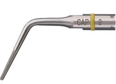 [ACF88182] ENDO TIP CAP2